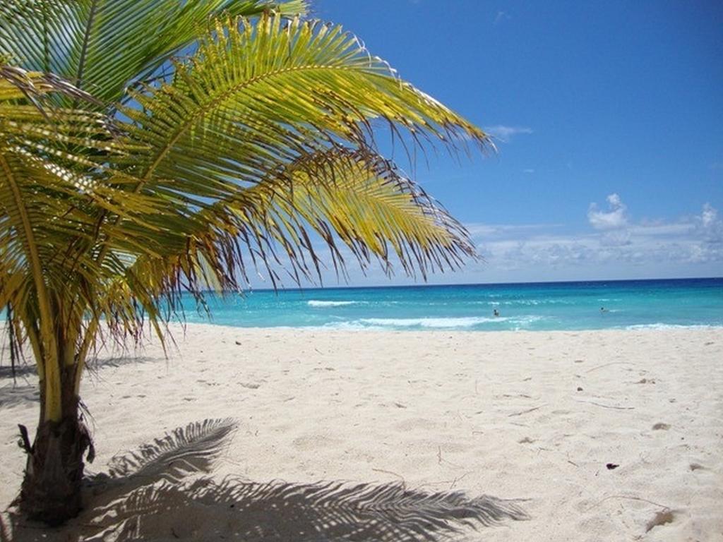 Beach Guest House Cleverdale Bridgetown Zimmer foto